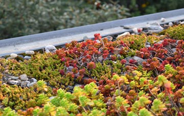 the cost of Felin Puleston green roof installation