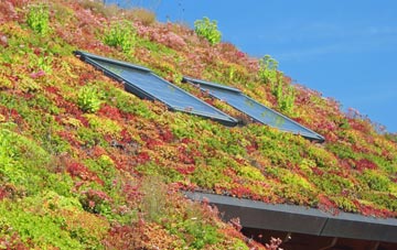 Felin Puleston living roof systems