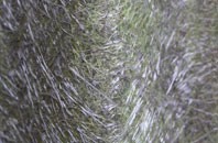 Felin Puleston fibreglass roof work